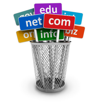 Domain Names into Massive Profits