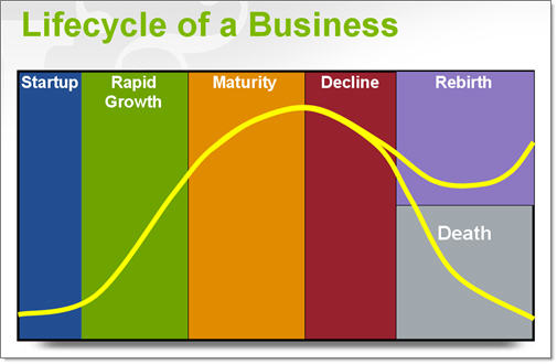 lifecycle of a business