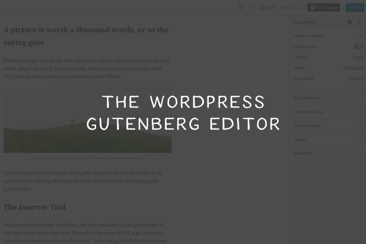 wordpress gutenberg